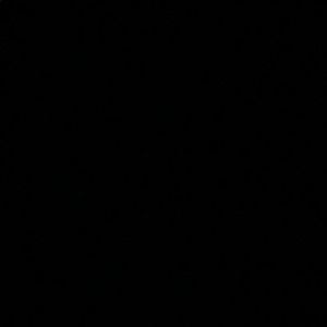 Meet your Posher, Mariah.